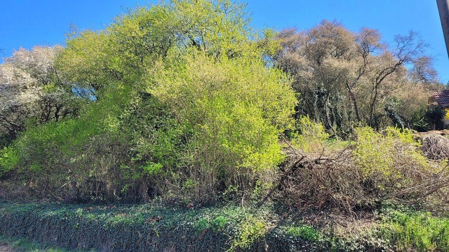 Grundst�ck Wohngrundst�ck Nu�bach