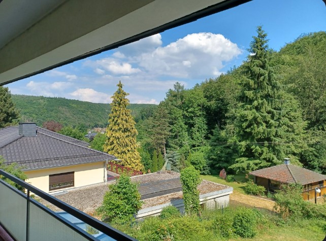 Aussicht Wohnung Kirschweiler