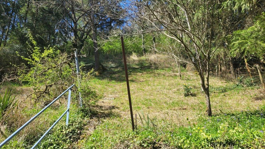 Grundst�ck Einfamilienhaus Staudernheim