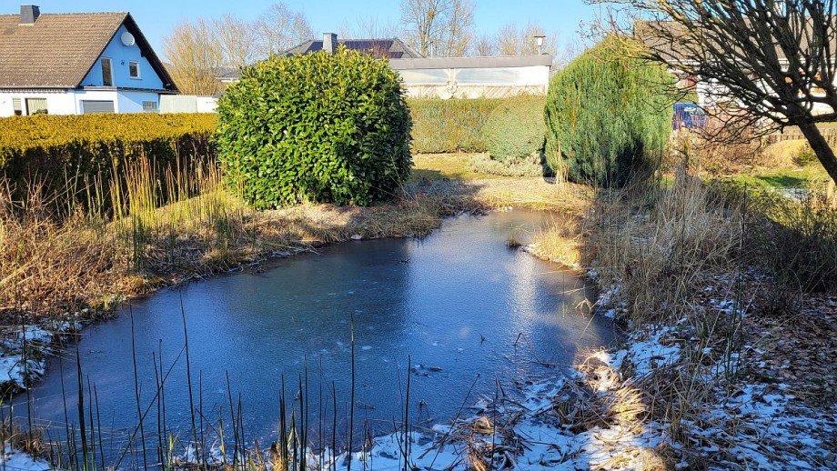 Gartenteich Einfamilienhaus Hennweiler