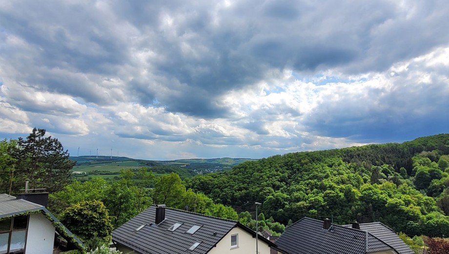 Aussicht Erdgeschosswohnung Fischbach