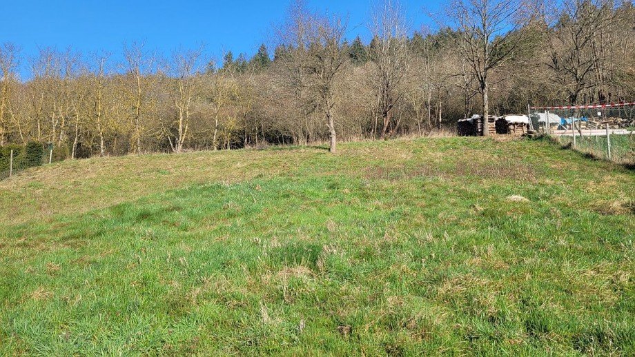 Grundst�ck oberer Teil Wohngrundst�ck Heimweiler