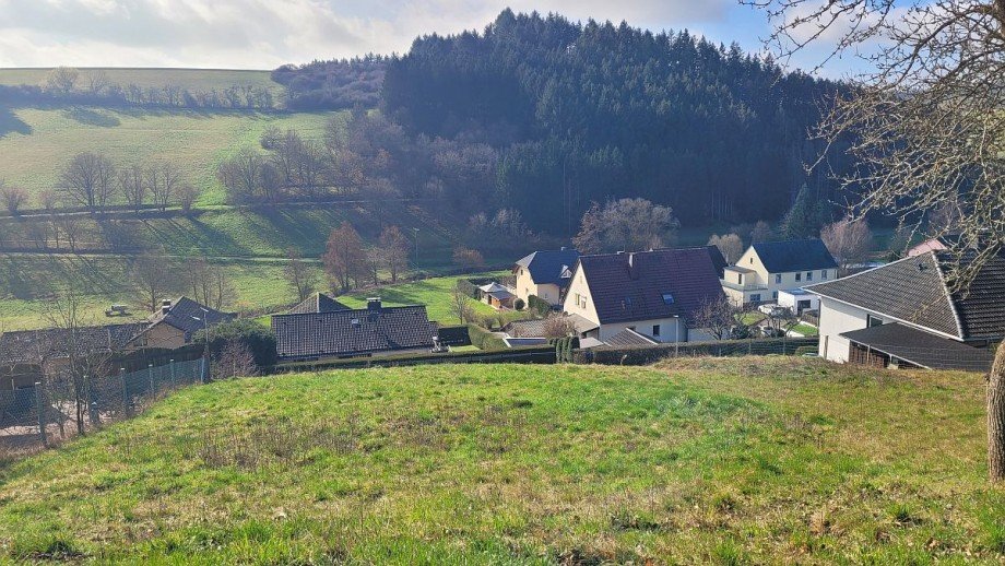 Aussicht Wohngrundst�ck Heimweiler