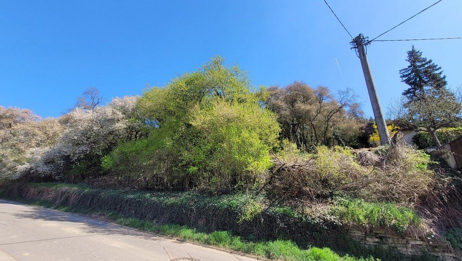 Grundst�ck Wohngrundst�ck Nu�bach