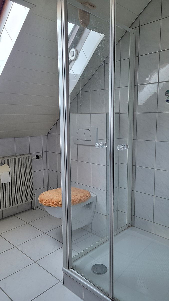 Bad im DG Einfamilienhaus Hennweiler
